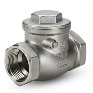 Stainless Steel Check Valve