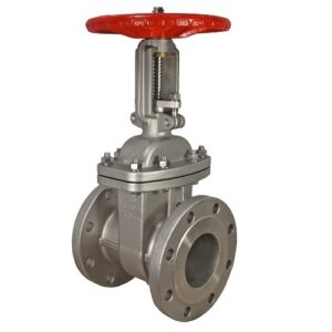 Stainless Steel Gate Valve
