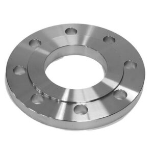 SS Raised Face Flange
