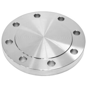 SS Blind Flange
